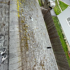 Moss-Removal-Roof-Cleaning-in-Pullman 3